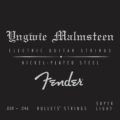 Fender Yngwie Malmsteen Signature 008-046 String