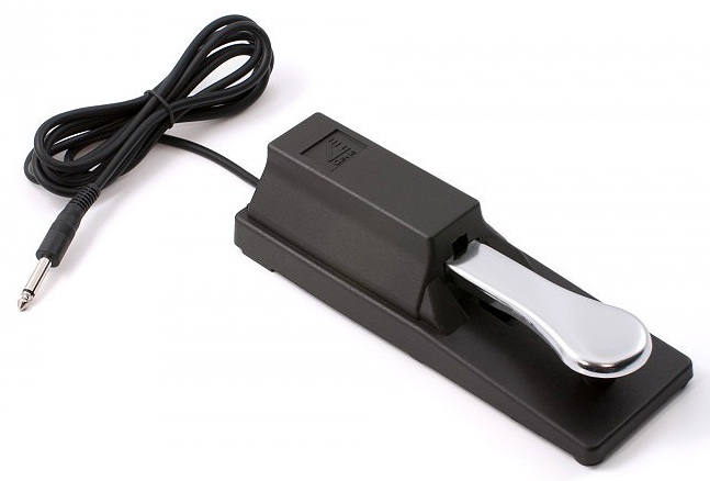 Nord Single Sustain Pedal