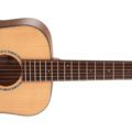 Cort Gold mini-F w/case