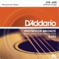 Daddario EJ42 Phopshor Bronze