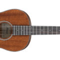 Ibanez AVN9-OPN Westerngitarr Parlor, Thermo Aged