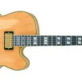 Ibanez PM200-NT NT Natural