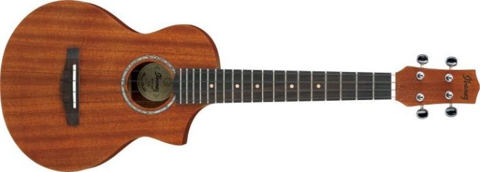 Ibanez UEWT5-OPN (Open Pore Natural) Tenor ukulele.
