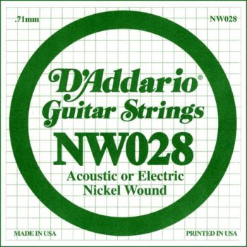 Daddario NW028