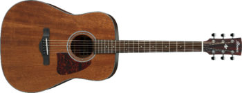 Ibanez AW5412CE-OPN Open Pore Natural