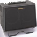 Roland AC-60 Acoustic Cube