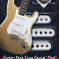 Fender Texas Special Strat Set