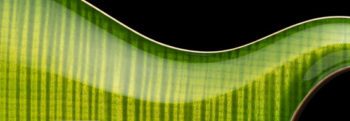 Prs CE24-ER ERIZA VERDE
