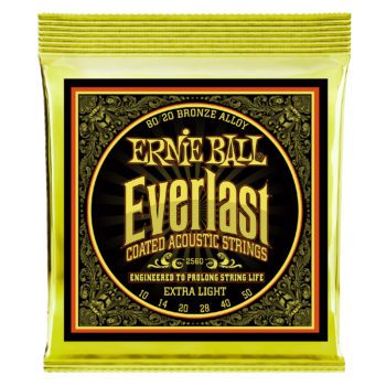 Ernie-Ball EB-2007 EARTHWOOD CUSTOM LIGHT