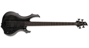 Ltd F-1004 STBLK SEE THRU BLACK
