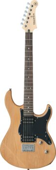 Yamaha PA120HYNS