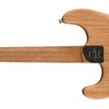 Fender American Acoustasonic Strat, Ebony Fingerboard, Black