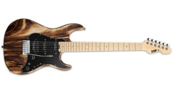 Esp SNAPPER CTM M DRIFT WOOD BURNER SATIN