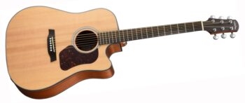 Walden D550CEW DREADNOUGHT GTR