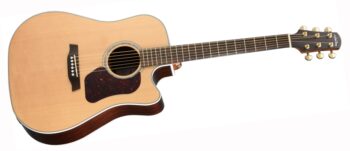 Walden D600CEW DREADNOUGHT GTR