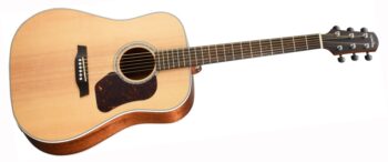 Walden D740EW DREADNOUGHT GTR