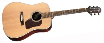 Walden D800EW DREADNOUGHT GTR