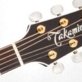 Takamine P6N-BSB NEX-A/E