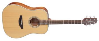 Takamine GD20-NS