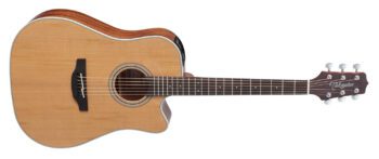 Takamine Gd20Ce Natural