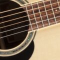 Takamine GD51-NAT