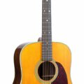 Martin D-28 Rich Robinson