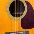 Martin D-28 Rich Robinson