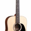 Martin D-16E Rosewood