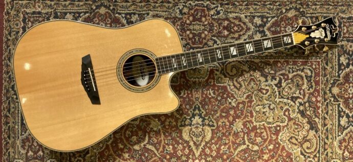 D’Angelico Bowery Excel inkl orginal Hardcase