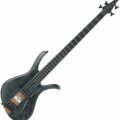 Ibanez AFR4FMP-TGF