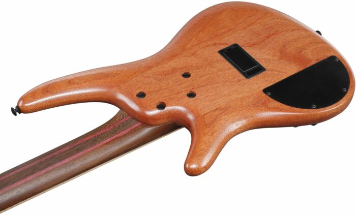 Ibanez SR5FMDX2-NTL