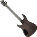 Schecter OMEN ELITE-6  CHAR