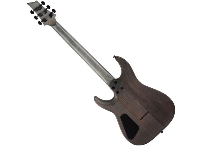 Schecter OMEN ELITE-6  CHAR