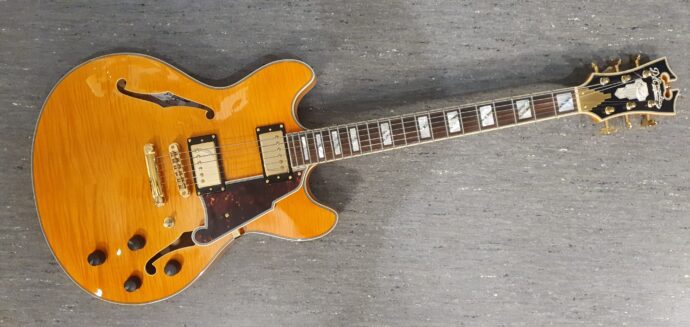 D’Angelico Excel DC