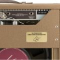 Fender 62 Princeton Chris Stapleton Edition, 230V EUR