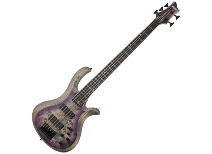 Schecter RIOT-5 SARB