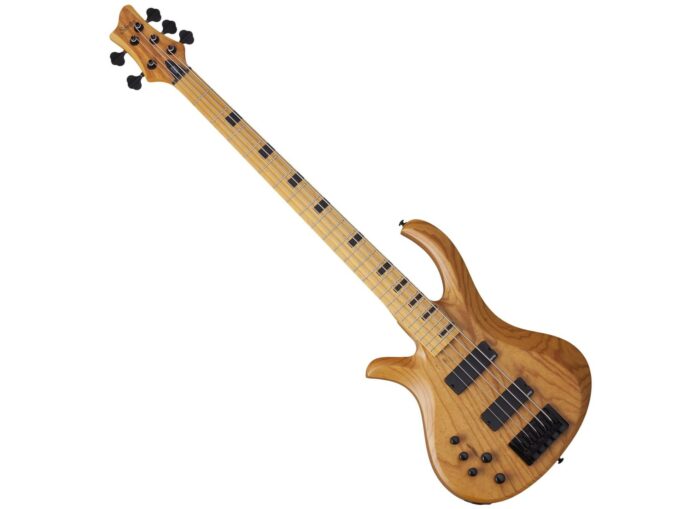 Schecter Riot Session 5 Left Hand ANS