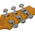 Schecter C-6 PLUS LH CB