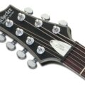 Schecter Damien Platinum 7 Satin Black Left