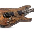 Schecter OMEN ELITE-6 FR CHAR