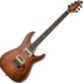 Schecter C-1 EXOTIC SPALTED MAPLE  SNVB
