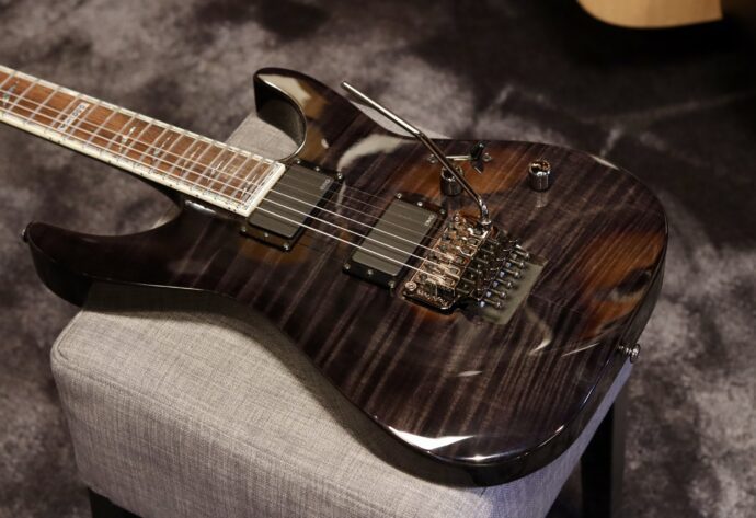 LTD M-1000 Deluxe 2011
