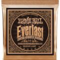 Ernie-Ball EB2546