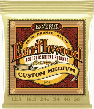 Ernie-Ball EB-2005 EARTHWOOD CUSTOM MED.