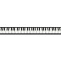 Blackstar Carry on Folding Piano - FP88 Black