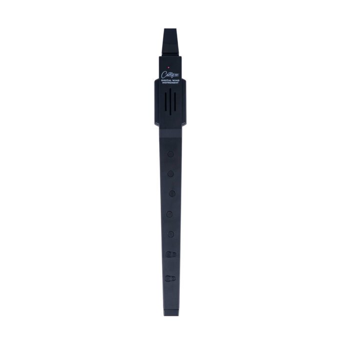 Blackstar Carry On Wind Instrument - Black