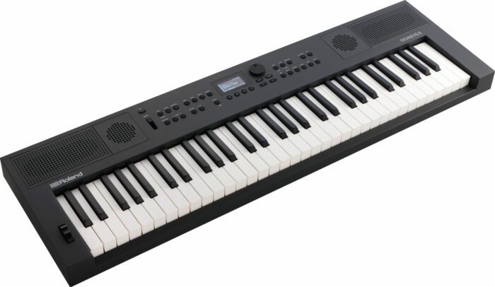 Roland Go:Keys 5 (Graphite)