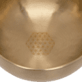 Meinl SB-S-FOL-1000