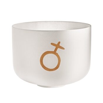 Meinl PCSB12EPL
