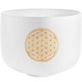 Meinl PCSB10FOL